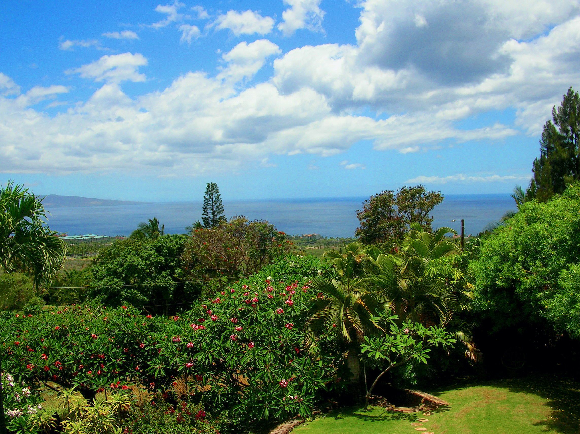 View from the balcony